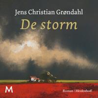 De storm - thumbnail