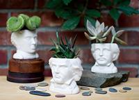 UPG Planter - Ludwig von Beethoven - thumbnail