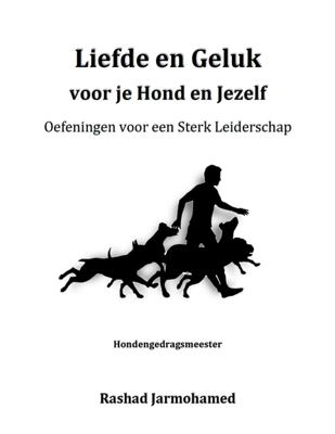 Oefeningen voor een Sterk Leiderschap - Rashad Jarmohamed - ebook