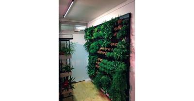 Linear langwerpige kweeklamp led living wall 120 graden 30w 90 cm BTT & Parus - Btt