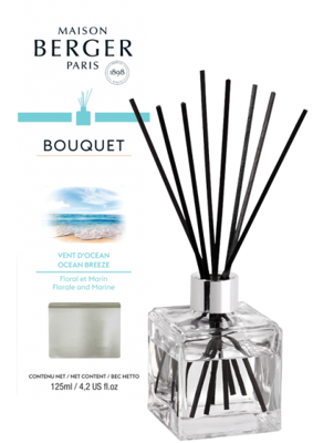 Parfumverspreider met sticks Cube 125ml Vent d'Océan