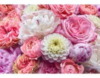 Noordwand Komar Colours Fotobehang Vibrant Spring - 8-335 - thumbnail