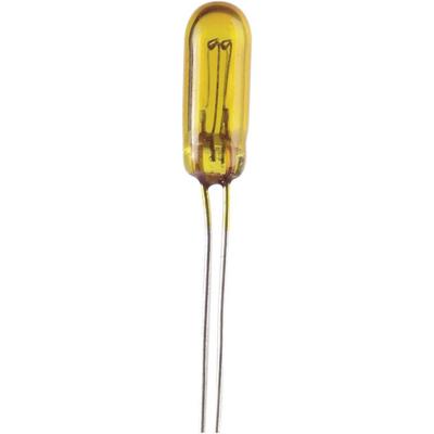 Barthelme 2110163Y Speciale gloeilamp Geel 16 V 1 set(s) Barthelme 2110163Y Speciale gloeilamp Geel 16 V 1 set(s)