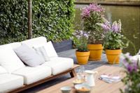 Elho Vibia Campana bloempot rond 25cm honinggeel - thumbnail