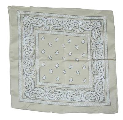 Sjaaltje Beige Zakdoek Denim