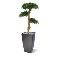 Podocarpus Bonsai kunstplant 120cm - thumbnail