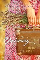 Onderweg - Afra Beemsterboer - ebook - thumbnail