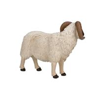 Mojo farmland zwartkopschaap ram 387081 - thumbnail