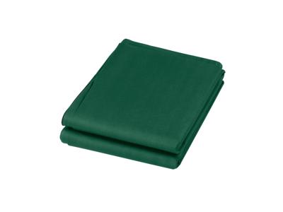 PARKSIDE Plantenhoes tegen vorst (XL 2 stuks groen)