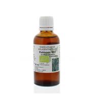 Cruydhof Acorus Calamus/Kalmoeswortel Druppels - thumbnail