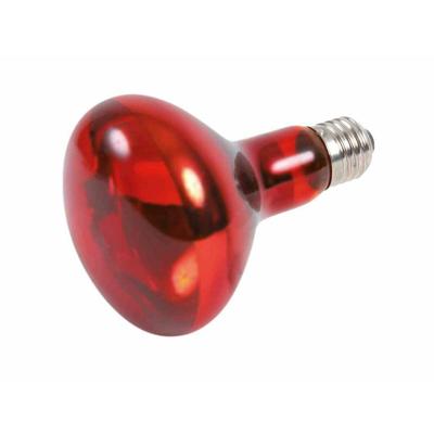 Infrarood gloeilamp Trixie