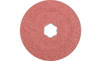 PFERD TOOLS 64189001 Schuurschijf Diameter 100 mm