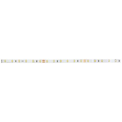 Brumberg 38201003 38201003 LED-strip Energielabel: E (A - G) 5 m Wit 1 stuk(s)