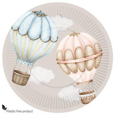Bordjes Gender Reveal Luchtballon Classic (8st)