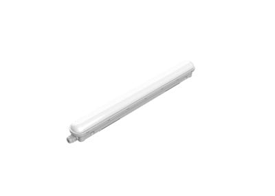 LED-strip Philips projectline 18 W 58 x 6 x 6 cm 2000 Lm