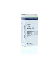 Sabal serrulata LM6 - thumbnail