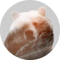 Noordwand Komar Dots Behangcirkel Bearava - D1-015 - thumbnail