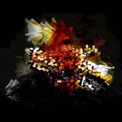 The Bullnose Step - 12 inch Vinyl;12 inch Vinyl (5054429005417)