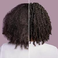 Shea Moisture Coconut & Hibiscus Curl & Shine Conditioner - thumbnail