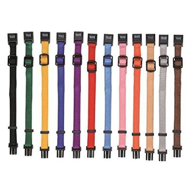 Hondenhalsband Trixie Zwart Rood Kobaltblauw Appel S/M 17-25 cm (6 Stuks) Hondenhalsband Trixie Zwart Rood Kobaltblauw Appel S/M 17-25 cm (6 Stuks)