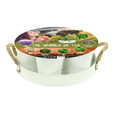 Zomer Bloembollen Herb Festival, 7 World of Tea (Wit) Baltus - Baltus