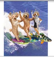 Honden-speelgoed wild shieldz trout medium Gebr. de Boon - Gebr de boon - thumbnail