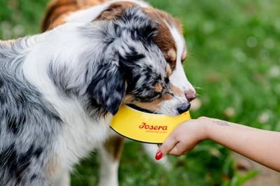 Voer Josera Light & Vital Adult 900 g Voer Josera Light & Vital Adult 900 g