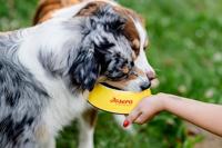 Voer Josera Light & Vital Adult 12,5 Kg - thumbnail