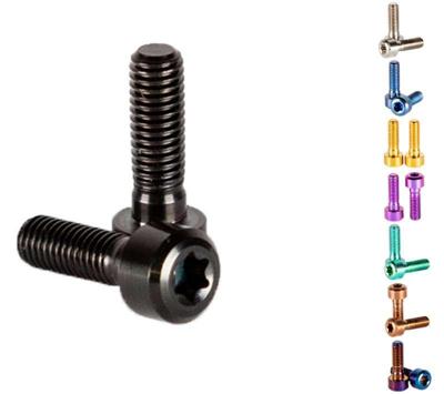 OAK Components Titanium Screw Set (6 pieces) for Eternal Stem
