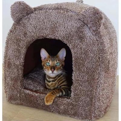 40 Winks kattenmand iglo teddy bruin