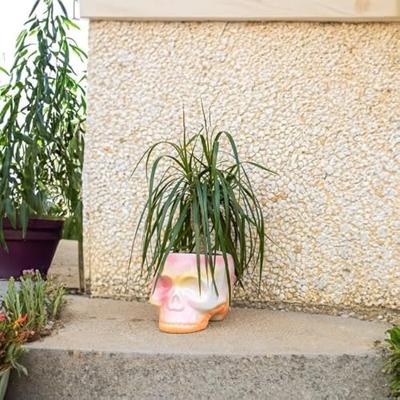Skull plant pot - pink gradient