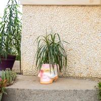 Skull plant pot - pink gradient - thumbnail