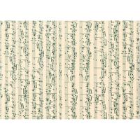 Creativ Company Karton, muzieknoten, a4, vel 210x297 mm, 180 gr, 10 vel/ 1 doos - thumbnail