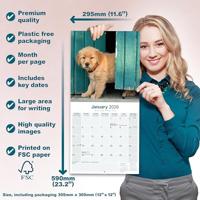 Golden Retriever Kalender 2026 - thumbnail