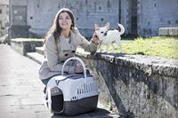 Bama Pet Transportbox 52x33x34 cm Taupe/Wit - thumbnail