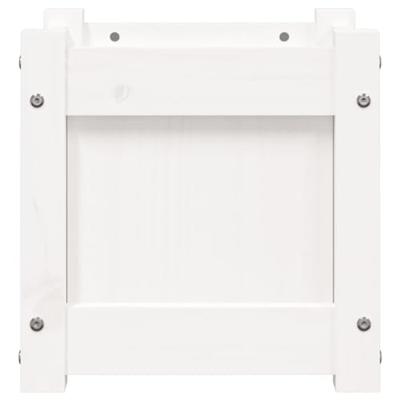 VidaXL Plantenbak 31x31x31 cm massief grenenhout wit