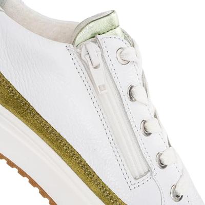 Ara 1250004 - alle Ara 1250004 - alle