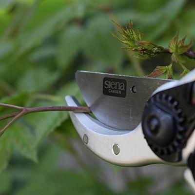 Siena Garden CG1020 Grasschaar 21.5 cm Bypass