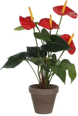 Mica Decorations kunstplant anthurium 40cm rood