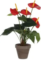 Mica Decorations kunstplant anthurium 40cm rood - thumbnail