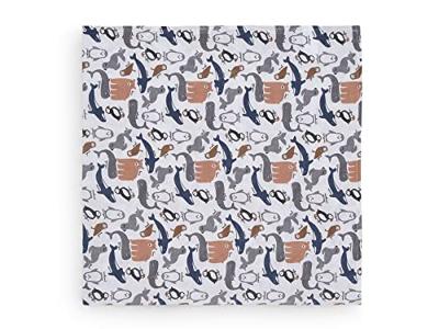 Jollein Doeken 2 st hydrofiel Polar 115x115 cm meerkleurig