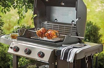Weber braadspit voor genesis ii 200/300 serie