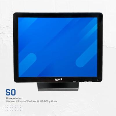 Monitor met Touchscreen iggual MTL15C 15" 60 Hz