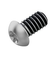 Fahrwerker remschijf bout M5x10 LEV tl (120 stuks) - thumbnail