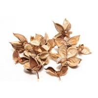 Katoenpeulen naturel - thumbnail