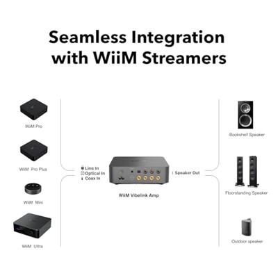 WiiM: Vibelink Amp streaming versterker - Grey WiiM: Vibelink Amp streaming versterker - Grey