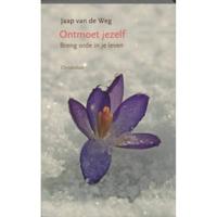 Ontmoet jezelf, breng orde in je leven (Paperback) - thumbnail
