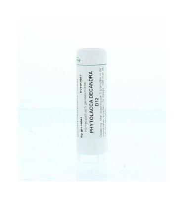 Homeoden Heel Phytolacca decandra D12 6 Gram Homeoden Heel Phytolacca decandra D12 6 Gram