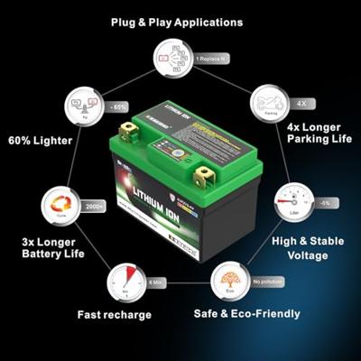 Skyrich lifepo4 batterij "hjtz7s-fp". battery hjtz7s-fp-swi lithium