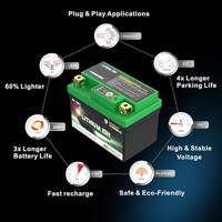 Skyrich lifepo4 batterij "hjtz7s-fp". battery hjtz7s-fp-swi lithium - thumbnail
